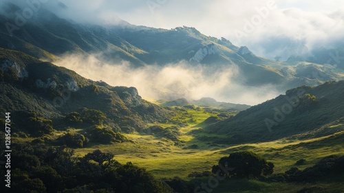 Stunning coastal scenery along Big Sur, California