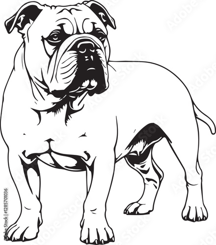 Bull dog  sketch vector 100% fully Editable vector 