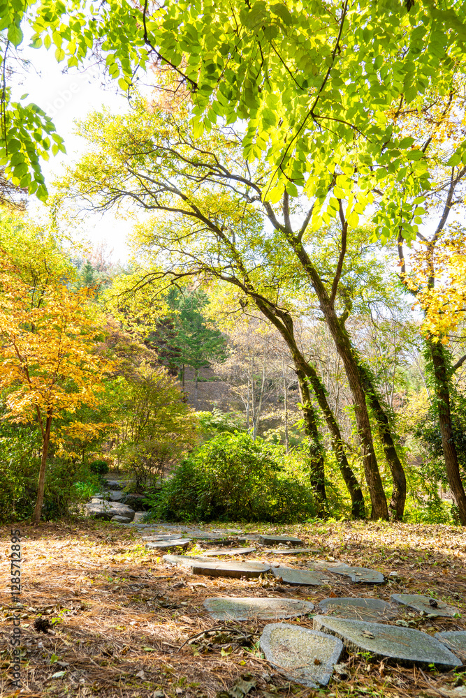 Naklejka premium Autumn park with colorful trees with and falling leaves in the park