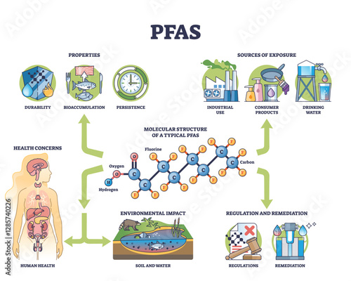 PFAS diagram outlines exposure sources, health concerns, and environmental impact. Key objects, molecular structure, health effects, exposure sources. Outline diagram