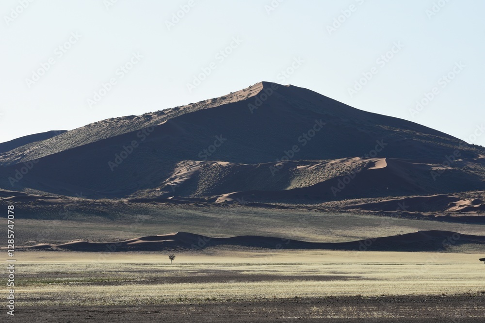 Fototapeta premium Sanddünen der Namib im Abendlicht in Namibia