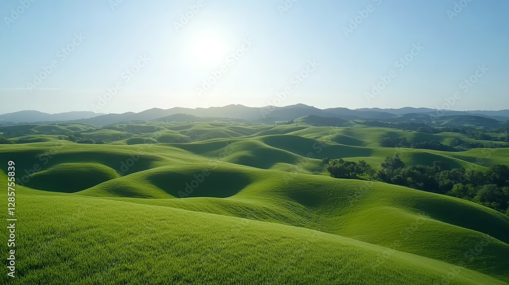 Serene Rolling Green Hills Bathed In Sunlight, A Breathtaking Panoramic View Of Natures Tranquility Serene Rolling Green Hills Bathed In Sunlight, A Breathtaking Panoramic View Of Natures Tranquility