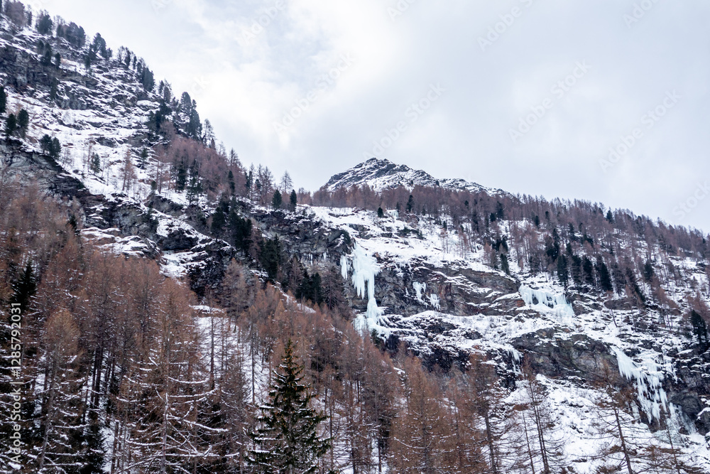 Eine Runde Langlaufen am Langlaufzentrum Rein in Taufers im wunderschönen Reintal - Südtirol - Italien