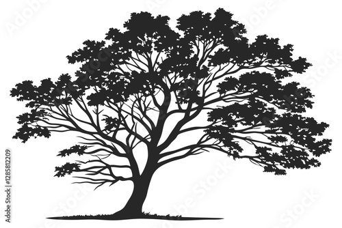 Dogwood tree silhouette vector illustration