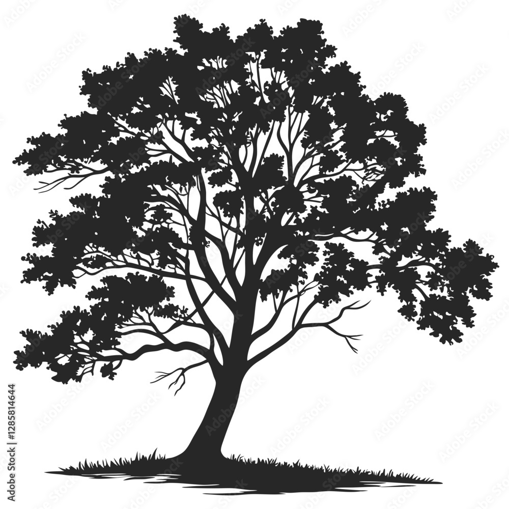 Obraz premium Hickory tree silhouette vector illustration