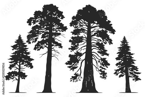 set of Redwood tree silhouette vector illustration