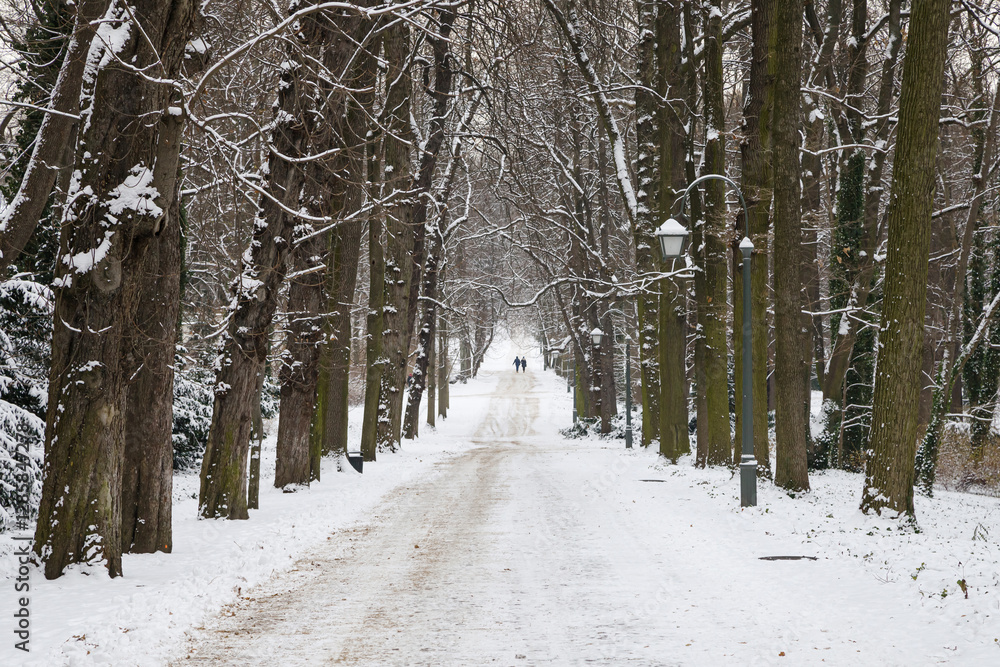 Snowy Pathway through Lazienki Park, Warsaw