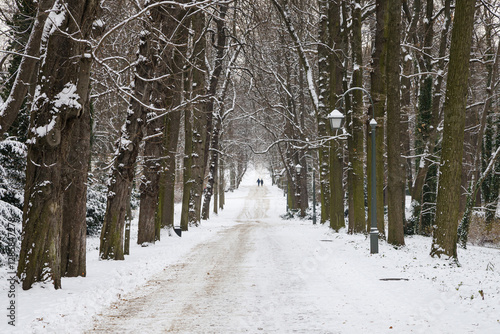 Obraz na płótnie Snowy Pathway through Lazienki Park, Warsaw w salonie