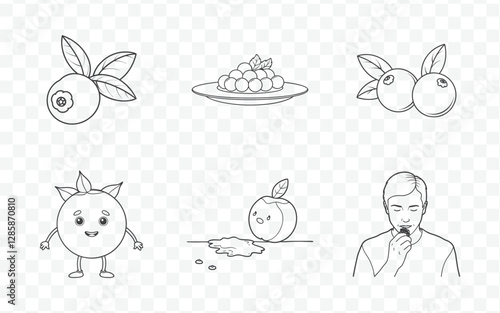 Exquisite Blueberry Line Art Collection