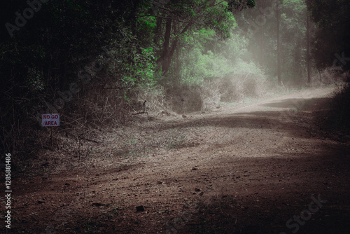 Wallpaper Mural Dusty road in forest near Blackbutt QLD Torontodigital.ca