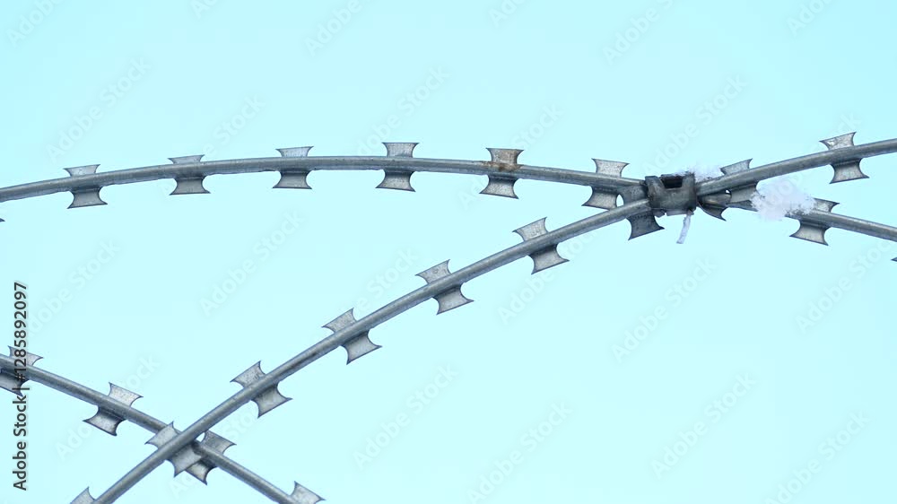 Close-up of razor wire against blue sky . A detailed view of sharp razor wire loops set against a pale blue sky, symbolizing security, restriction, and protection.
Close-up of razor wire against blue sky . A detailed view of sharp razor wire loops set against a pale blue sky, symbolizing security, restriction, and protection.