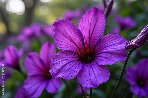 Close-up of Beautiful Deep Purple Flowers in Garden Setting