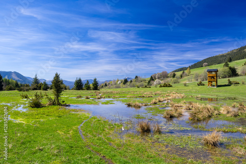 Nature reserve Meandre Luznanky near Liptovska Luzna, Low Tatras, Slovakia photo