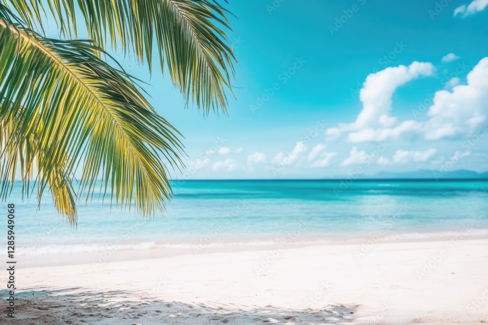 A tranquil beach scene with a palm tree standing tall in the foreground A tranquil beach scene with a palm tree standing tall in the foreground