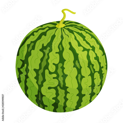 Vector Fresh green Whole watermelon. Cartoon ripe watermelon. Hand drawn Trendy flat style isolated fruit organic natural dessert, healthy sweet red juicy summer fruit illustration