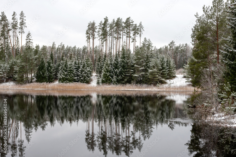 winter landscape with a lake, magical snow-covered trees and reflections in the lake, a gorgeous winter day winter landscape with a lake, magical snow-covered trees and reflections in the lake, a gorgeous winter day