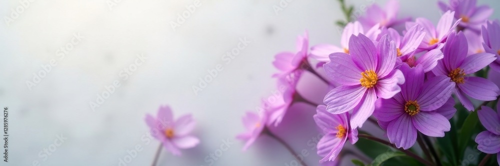Crisp white showcases vibrant purple flower cluster, elegant, element Crisp white showcases vibrant purple flower cluster, elegant, element