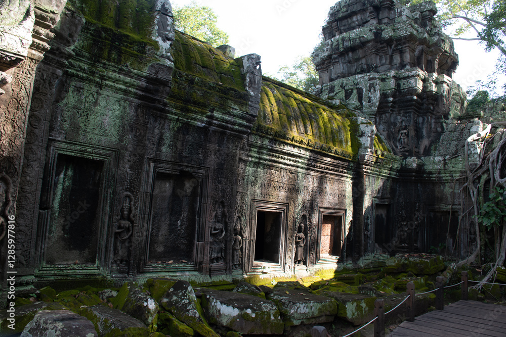 Exploring the Ta Prohm Temple in Siem Reap, Cambodia Exploring the Ta Prohm Temple in Siem Reap, Cambodia