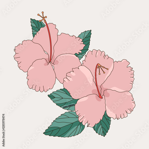 Two Pink Hibiscus Flowers with Leaves
