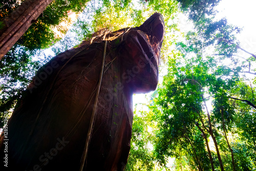 Nakee head at Nakee Cave at Bueng Kan province. Travel destination of Thailand, Asia. 