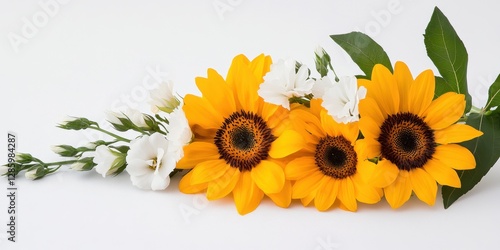 Wallpaper Mural Golden Sunflowers and White Larkspur. Bright yellow sunflowers and crisp white larkspur, blending beautifully with a soft watercolor effect for a summer wedding. Torontodigital.ca