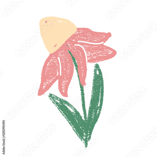 Echinacea flower crayon drawn. Spring plant doodle isolated on white background. Summer floral kids element. Chalk or pastel style childish scrawl wildflower shape. Vector naive illustration by pencil