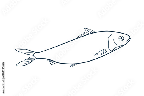 Herring monochrome black white vector illustration. Atlantic fish Shad outline sketch hand drawn. Sardine, smelt sea fish painted ink linear art. Design element for package, label, sign board.