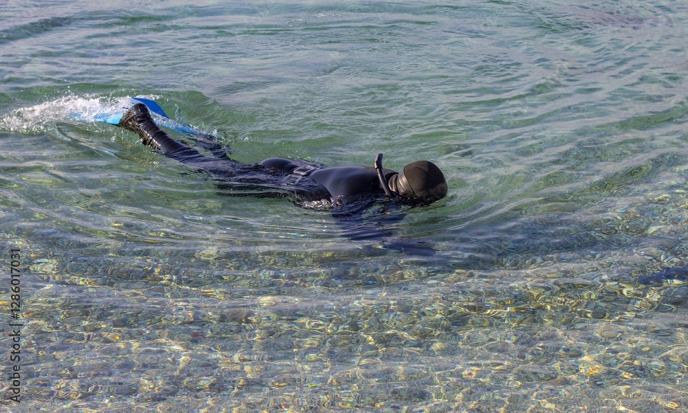Obraz premium Diver in Clear Water, Snorkeling in the Sea, Freediver in Wetsuit, Exploring the Crystal Sea, Underwater Adventure, sea ​​fishing, sea ​​hunting