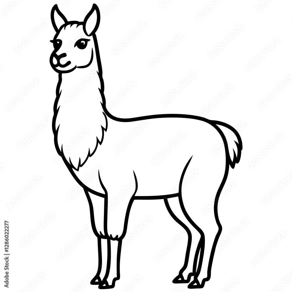 Clean & Simple Llama Line Art Vector Clean & Simple Llama Line Art Vector