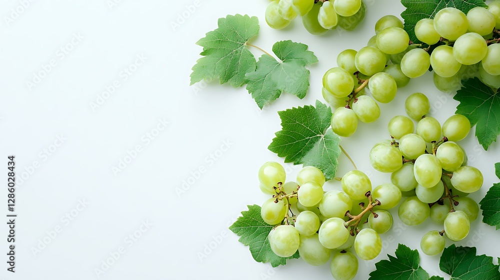 Obraz premium Green grapes with leaves on white background.