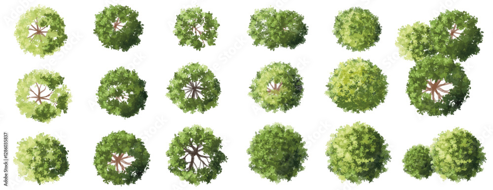 Vertor set of green tree,plants top view for landscape plan,schematic layout,eco environment concept design,watercolor greenery illustration