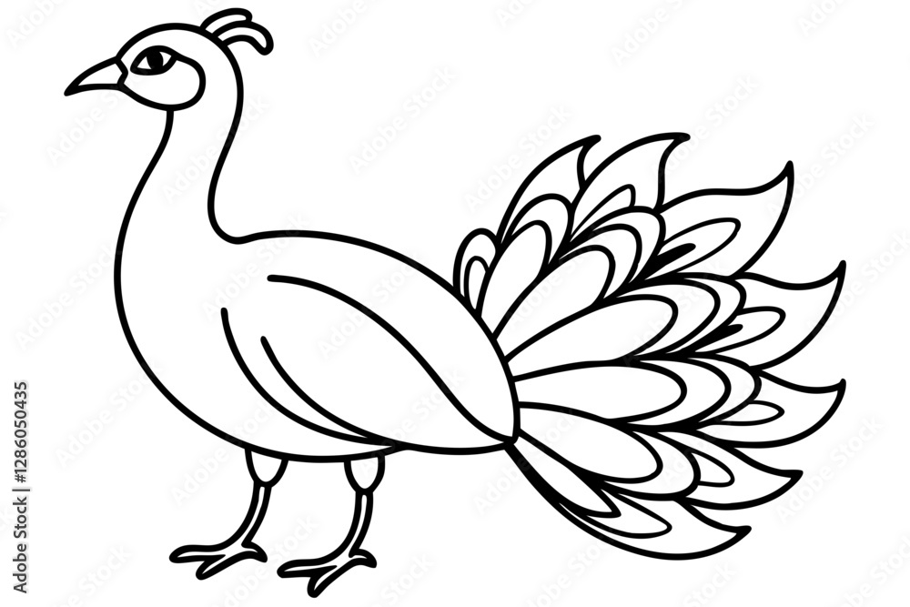 Fototapeta premium Minimalist Peacock Line Art