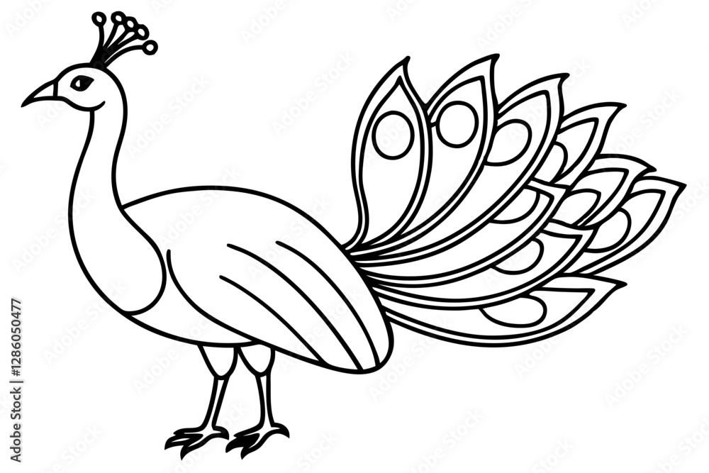 Fototapeta premium Minimalist Peacock Line Art