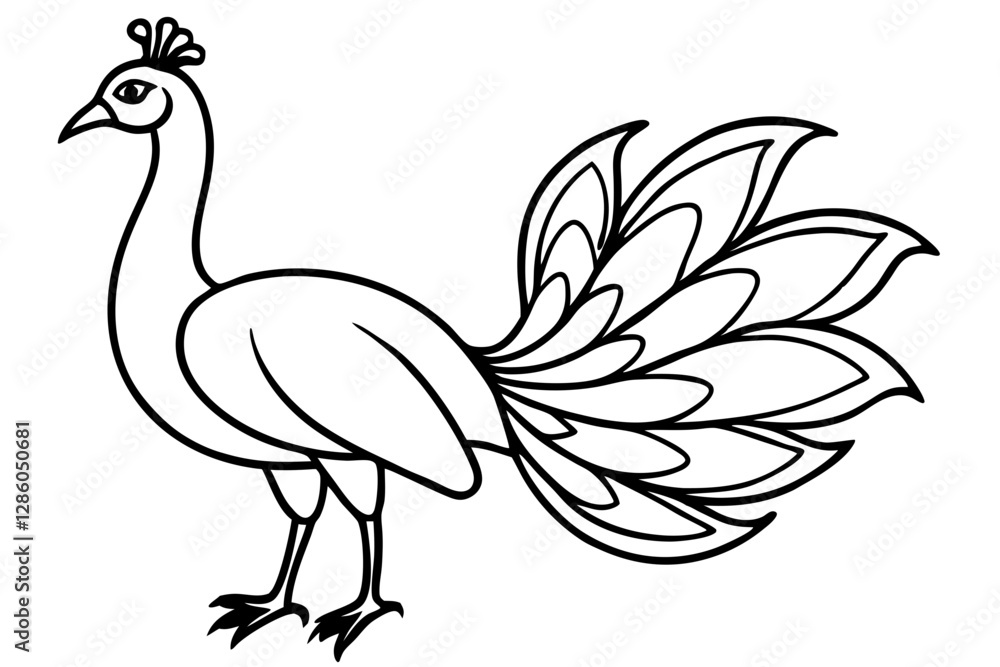 Fototapeta premium Minimalist Peacock Line Art