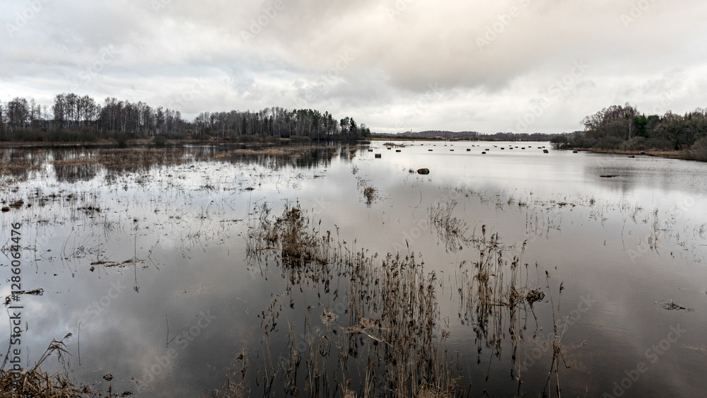 latvian winter landscape with flooded lake, thin and light ice in places, reflections