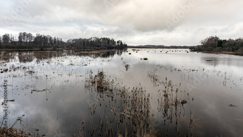 Obraz na płótnie latvian winter landscape with flooded lake, thin and light ice in places, reflections w salonie