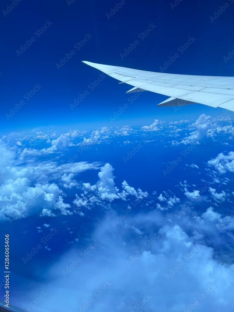 Obraz premium view on the plane