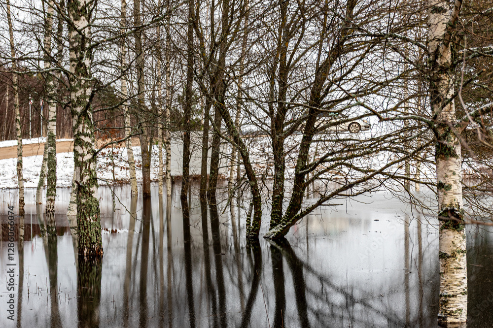 latvian winter landscape with flooded lake, thin and light ice in places, reflections