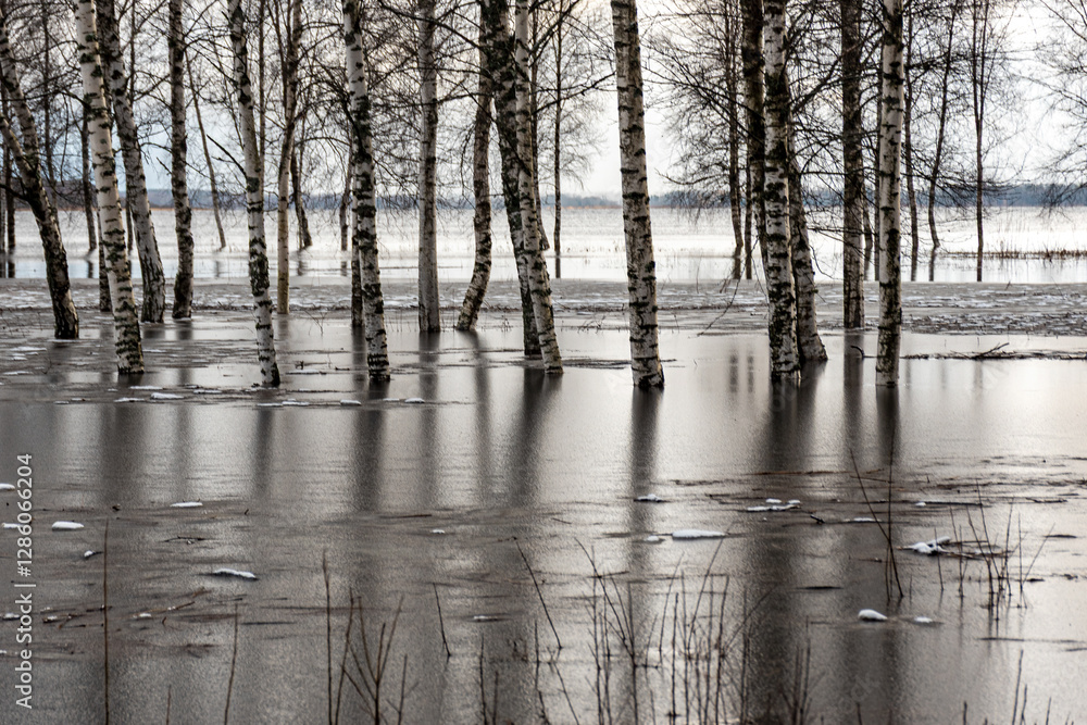 latvian winter landscape with flooded lake, thin and light ice in places, reflections