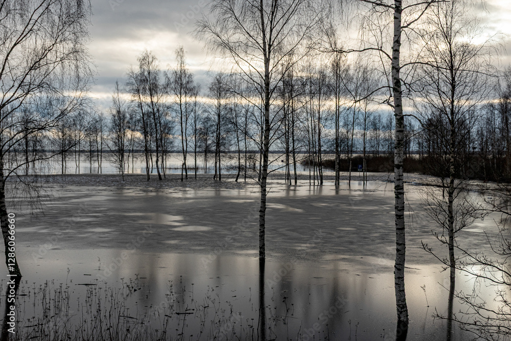 latvian winter landscape with flooded lake, thin and light ice in places, reflections
