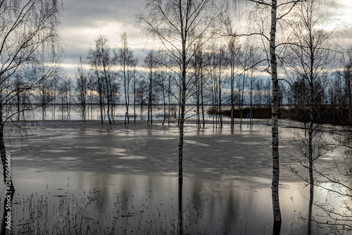 Obraz na płótnie latvian winter landscape with flooded lake, thin and light ice in places, reflections w salonie