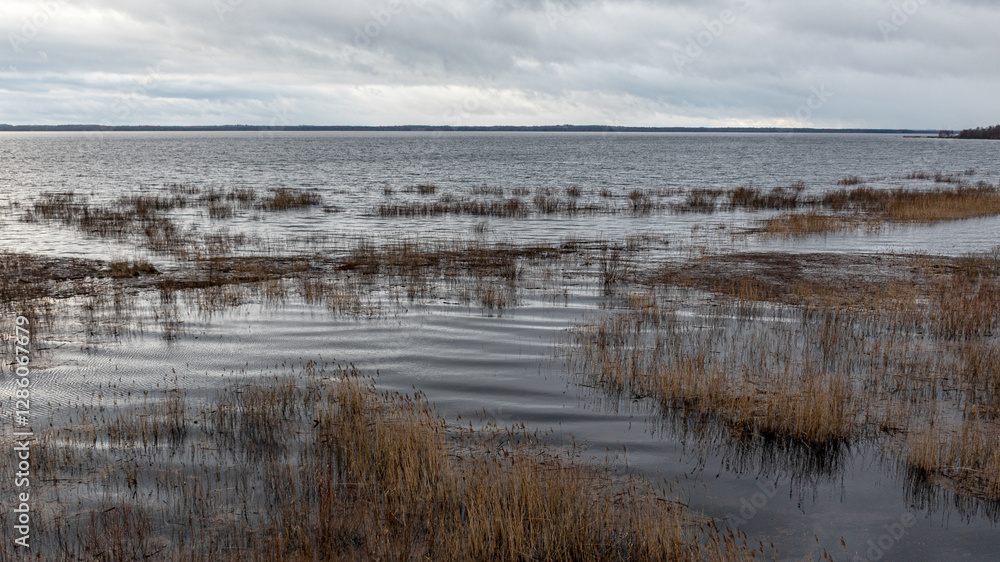 latvian winter landscape with flooded lake, thin and light ice in places, reflections
