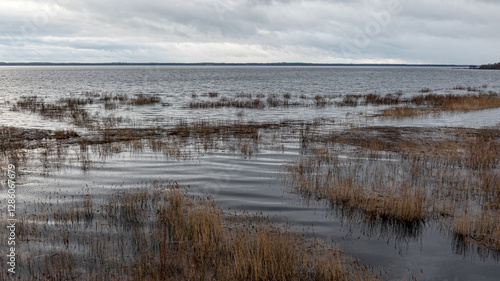 Obraz na płótnie latvian winter landscape with flooded lake, thin and light ice in places, reflections w salonie