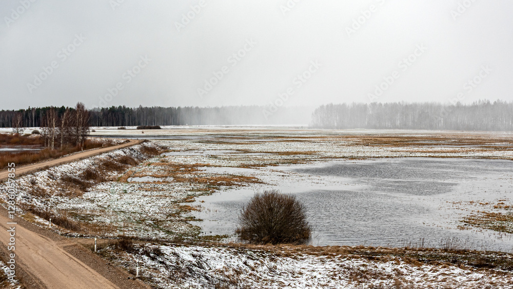 latvian winter landscape with meadow, approaching snowfall, Silzemnieku meadows, Burtnieku lake
