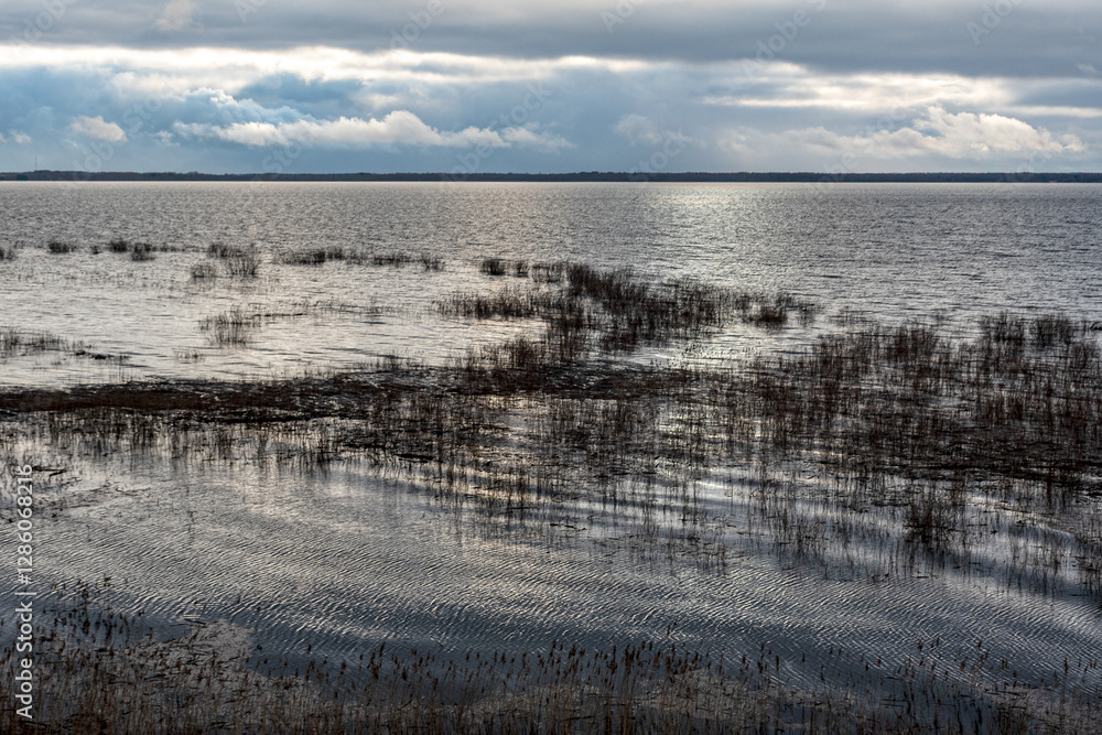 latvian winter landscape with flooded lake, thin and light ice in places, reflections