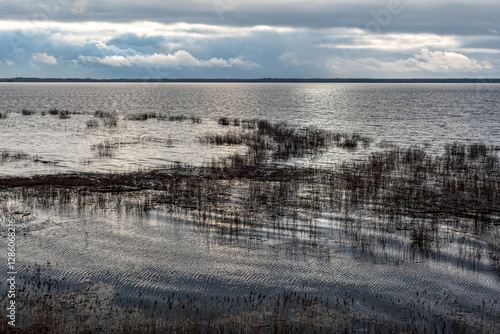Obraz na płótnie latvian winter landscape with flooded lake, thin and light ice in places, reflections w salonie