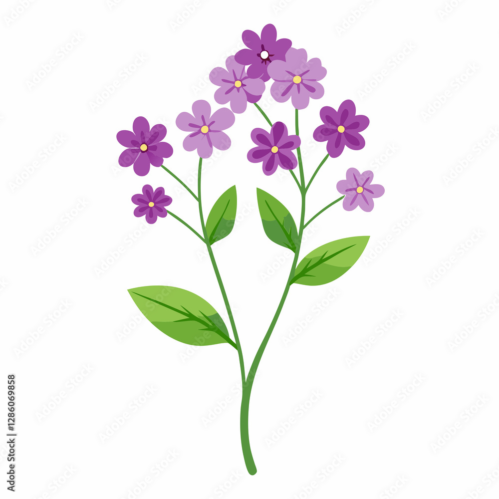 tiny verbena florets tiny verbena florets