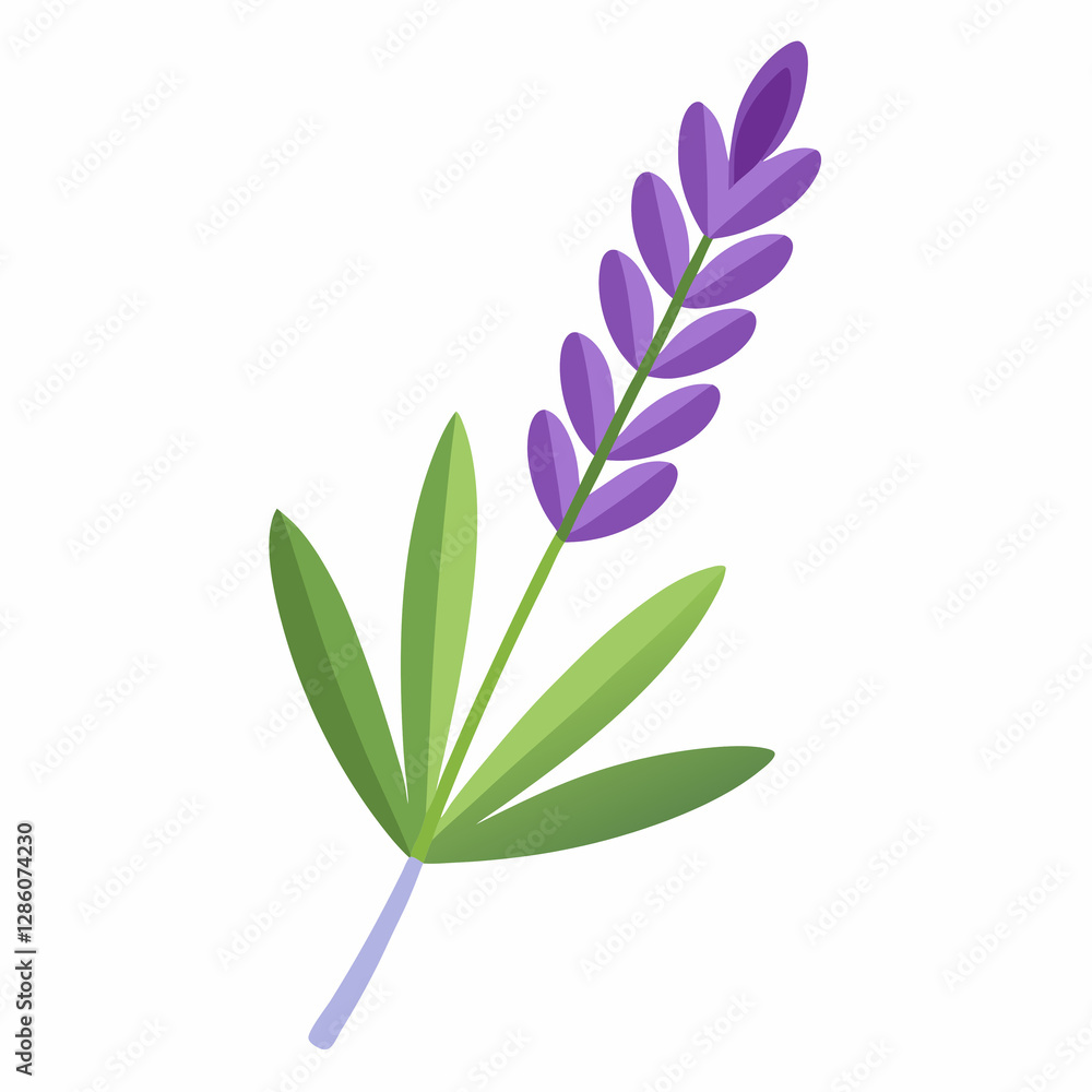 Obraz premium soft lavender sprig