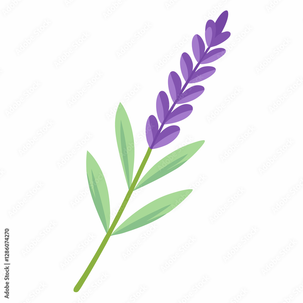 soft lavender sprig soft lavender sprig