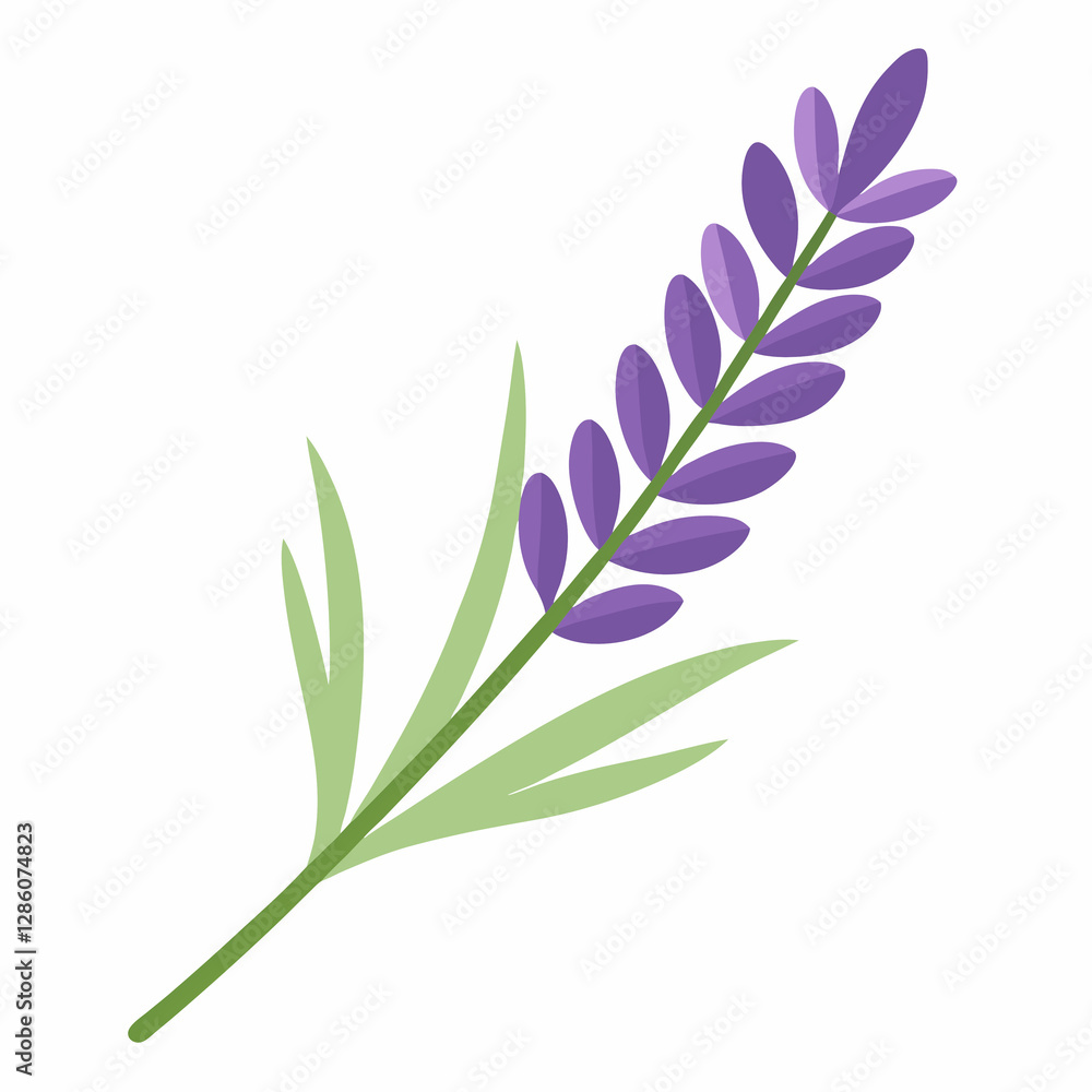 soft lavender sprig soft lavender sprig